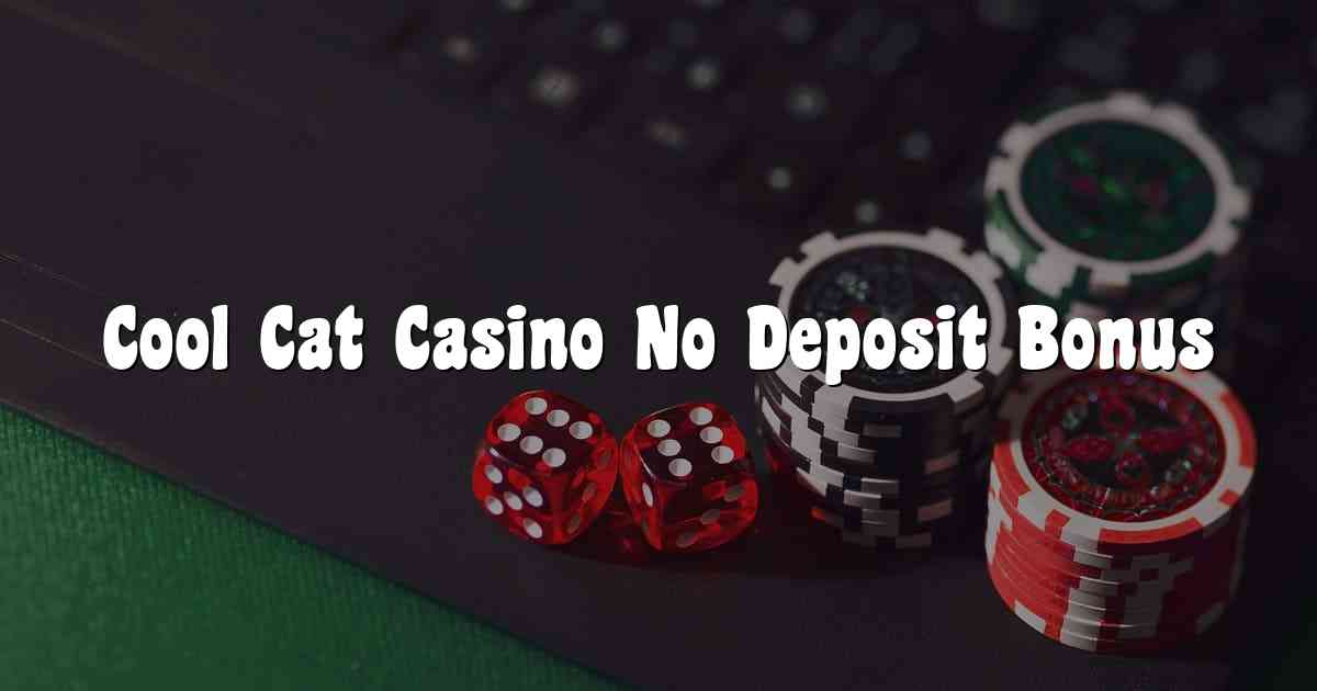 Cool Cat Casino No Deposit Bonus